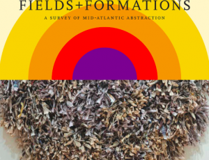 Fields and Formations: American University Museum